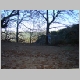 DSC09984.JPG