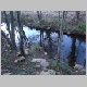 DSC10011.JPG