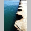 la-seyne-port-corniche-balaguier-tamaris-sablettes-41.jpg