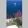 la-seyne-port-corniche-balaguier-tamaris-sablettes-63-2.jpg