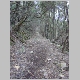 DSC04313.JPG