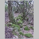DSC04314.JPG