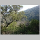 DSC04323.JPG