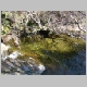 DSC04390.JPG