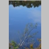 lac-des-escarcets-vallon-des-mines-33.jpg