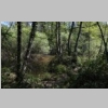 lac-des-escarcets-vallon-des-mines-61.jpg