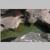 lac-des-escarcets-vallon-des-mines-80.jpg