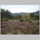 DSC09240.JPG