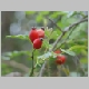 DSC09247.JPG