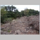 DSC09270.JPG