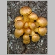 DSC09310.JPG
