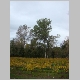 DSC09314.JPG