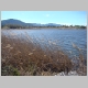 DSC05442.JPG