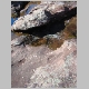DSC05487.JPG