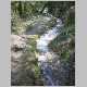 DSC13045.JPG