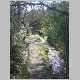 DSC13052.JPG