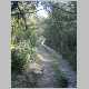 DSC13054.JPG