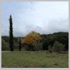 le-beausset-4-freres-25.jpg