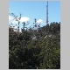 CIMG0313.JPG