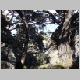 DSC01650.JPG