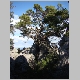 DSC01651.JPG