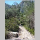 DSC04793.JPG
