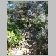 DSC04796.JPG