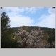 DSC01550.JPG