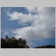 DSC01597.JPG