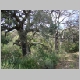 DSC01621.JPG