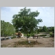 DSC04897.JPG