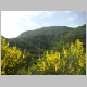 DSC04907.JPG