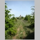 DSC04997.JPG