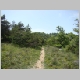 DSC05010.JPG