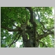 DSC05016.JPG