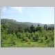 DSC05055.JPG