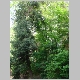 DSC04855.JPG