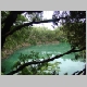 DSC04877.JPG