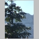 DSC02683.JPG
