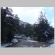 DSC02703.JPG