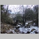DSC02714.JPG