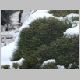 DSC02721.JPG