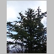 DSC02762.JPG