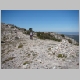 DSC08233.JPG