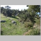 DSC08256.JPG
