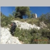 CIMG6742.JPG