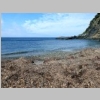plage-de-la-fosse-mine-26.jpg