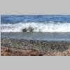 plage-de-la-fosse-mine-30.jpg