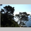 plage-du-trou-de-l-or-16.jpg