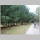 DSC05013.JPG